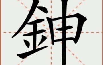 爱游戏(ayx)中国体育国际-畚斗和簸箕一样吗